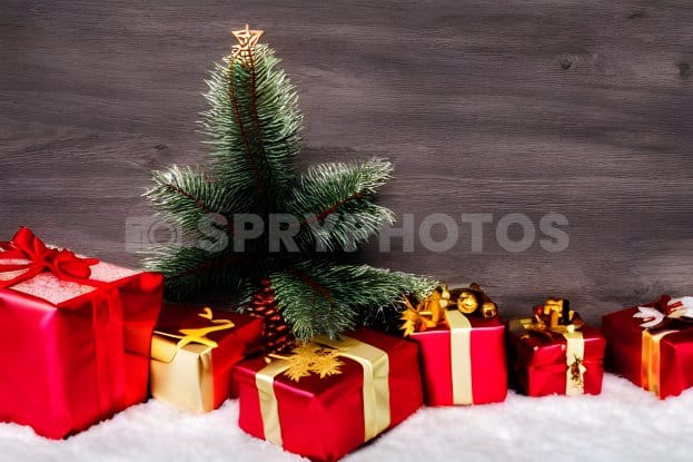christmas-1670326354.png - Spryphotos